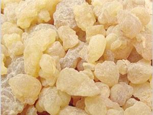 کندر، درمان موثر سرطان