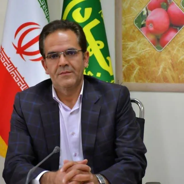 قیمت 400 هزار ریالی برای هر کیلو سیب یعنی نابودی باغدار