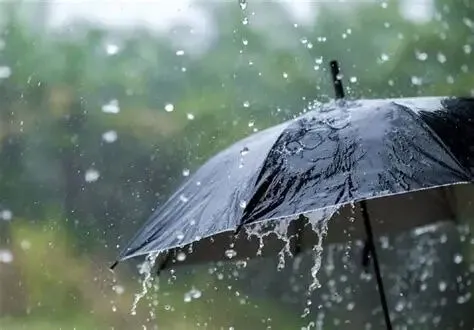 هشدار هواشناسی؛ رگبار و رعدوبرق در شمال کشور و وزش باد شدید در چند استان