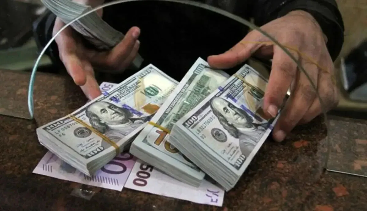 رفع تعهد ارزی بیش از 10 میلیارد یورو؛ بازداشت 61 نفر در پرونده‌های ارزی