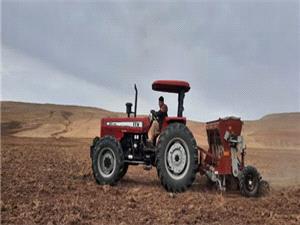 پايان کشت پاييزه محصولات زراعي ديم در شهرستان ويژه مراغه