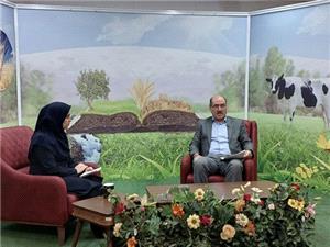 تامين و توزيع 69 هزار تن کود اوره در 9 ماهه نخست سال جاري در آذربايجان شرقي