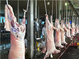 نظارت بيامان دامپزشکي مازندران درکشتارگاه ها؛ بيش از 191 هزار تن گوشت مرغ و 11 هزار تن گوشت قرمز سالم به بازار عرضه شد