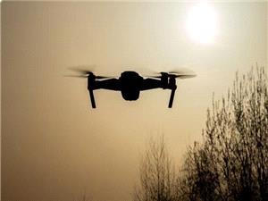 حریم پایتخت با ریزپرندهها رصد میشود