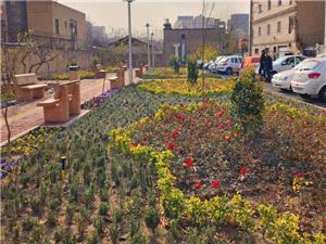 احياي فضاهاي بلااستفاده و تبديل به بوستان، در راستاي ارتقاء کيفيت محيط شهري