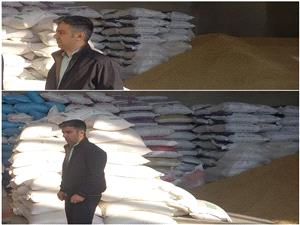 نظارت ميداني بر روند توزيع خوراک دام دولتي در قائمشهر