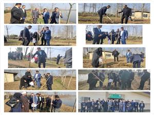 کاشت 47 هزار اصله نهال در بابل؛ يادمان سبز براي 1765 شهيد شهرستان