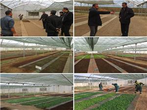 سرپرست سازمان سيما، منظر و فضاي سبز شهرداري کرمانشاه :21 هزار جعبه نشاء گُلفصلي در کرمانشاه توليد شد