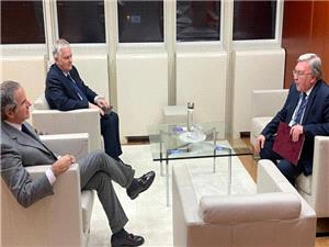 مدیرکل آژانس بینالمللی انرژی اتمی و سفیر روسیه در وین درباره ایران رایزنی کردند