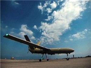 فرمانده نزاجا: توسعه یگانهای واکنش سریع پهپادی در جنوب شرق کشور انجام شد