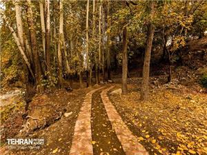 قرارگاه کوهستان و پایگاه ملی آموزش کوهنوردی در روددره فرحزاد راهاندازی میشود