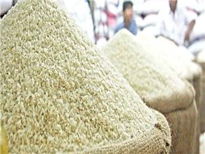 صعود برنج سقوط معیشت؛ از حذف ارز دولتی تا تهدید سفره خانوارها