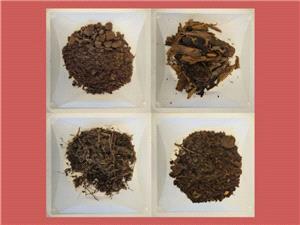 التربه.. العدو الخفی فی أزمه المضادات الحیویه