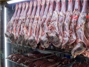 اختلاف قیمت 25 درصدی گوشت گوسفندی در میادین و بازارهای میوه و ترهبار به نسبت سطح شهر