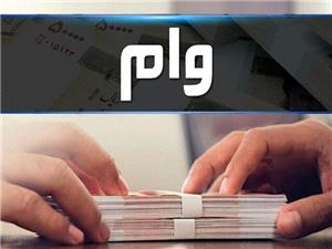 مجلس از حذف وامهای تکلیفی در بودجه 1405 گلهمند است / بازگشت وام ازدواج و اشتغال به بودجه با پیشنهاد نمایندگان