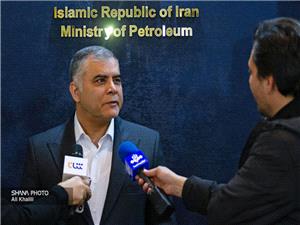 مشارکت پتروشيميها در توسعه ميادين گازي، کليد تأمين پايدار خوراک