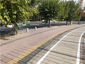 احداث پيادهرو در بلوار شهيد دادمان در منطقه 9