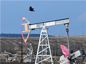 وزیر أمریکی: الولایات المتحده ترید زیاده إنتاج النفط فی فنزویلا بسرعه