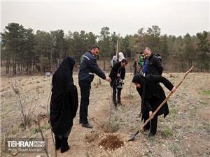 کاشت 25 هزار اصله نهال غيرمثمر در بوستان چيتگر