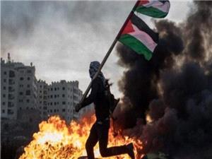 گسترش موج عمليات ضد صهيونيستي در مناطق اشغالي
