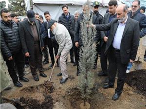 آغاز کاشت 25 هزار اصله نهال غيرمثمر در بوستان چيتگر
