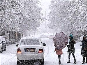 31 استان کشور درگیر برف و باران
