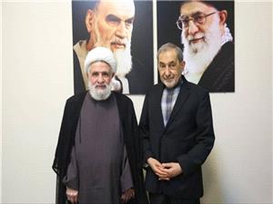 ولایتی به دبیرکل حزبالله: ایران در مقابله با هر تهدید خارجی آماده است