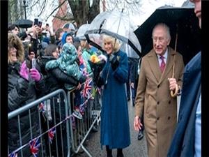 تمسخره شاه انگلیس به خاطر ارتباط برادرش با اپستین