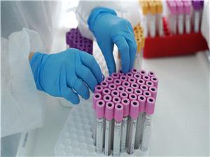 تتوافق مع أی فصیله دم... علماء یبتکرون کلیه "عالمیه" قد تنقذ ملایین الأرواح