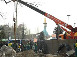 13 اصله درخت ديگر به فضاي سبز ميدان تجريش اضافه شد