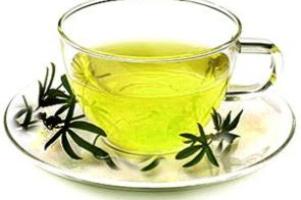 چند خاصيت بسيار مهم از چاي کوهي