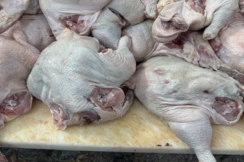 کشف 10 تُن گوشت مرغ غيربهداشتي در آذربايجان شرقي