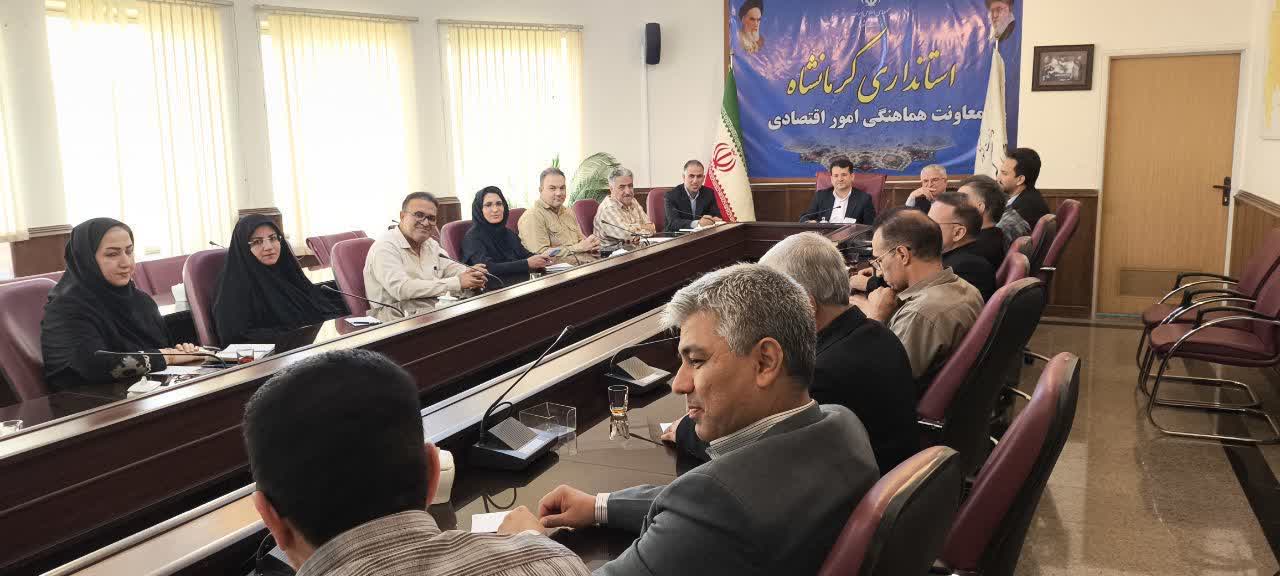 معاون استاندار کرمانشاه: تلاش براي تحقق دستکم 70 درصد مصوبات اقتصادي سفر رئيسجمهور