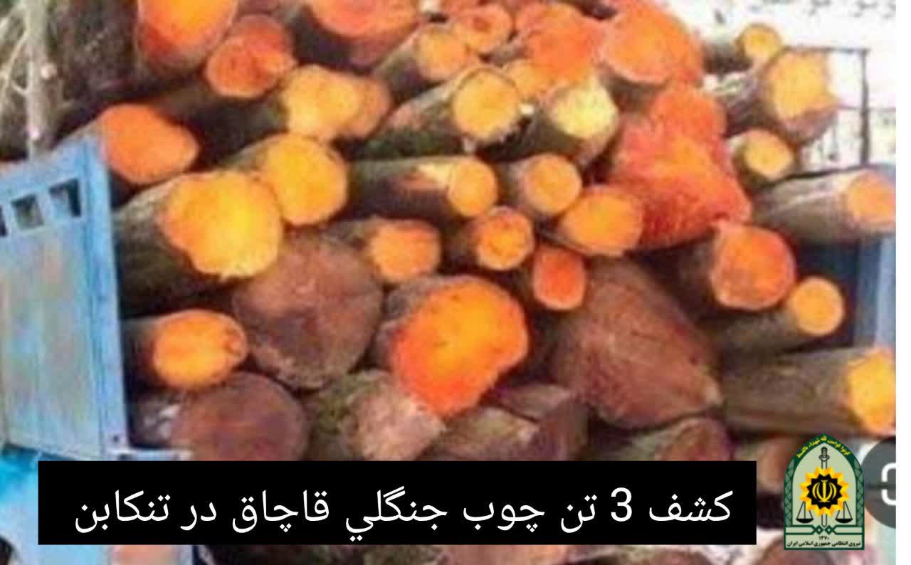 توقيف 9 تن محموله چوب جنگلي قاچاق در نور