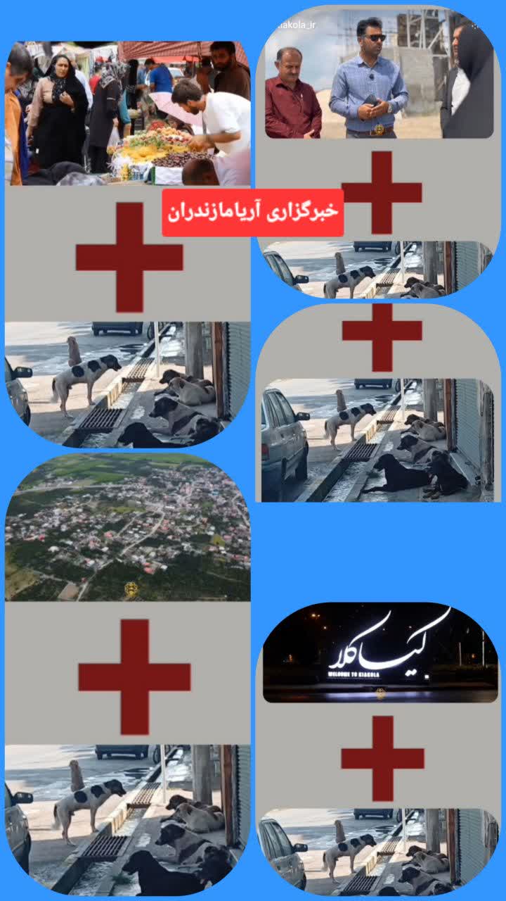 سگ‌هاي ولگرد؛ چالشي براي امنيت و سلامت شهروندان در شهرستان سيمرغ