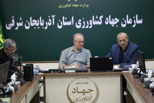 خرید گندم در استان آذربایجان شرقی از مرز 242 هزار تن گذشت