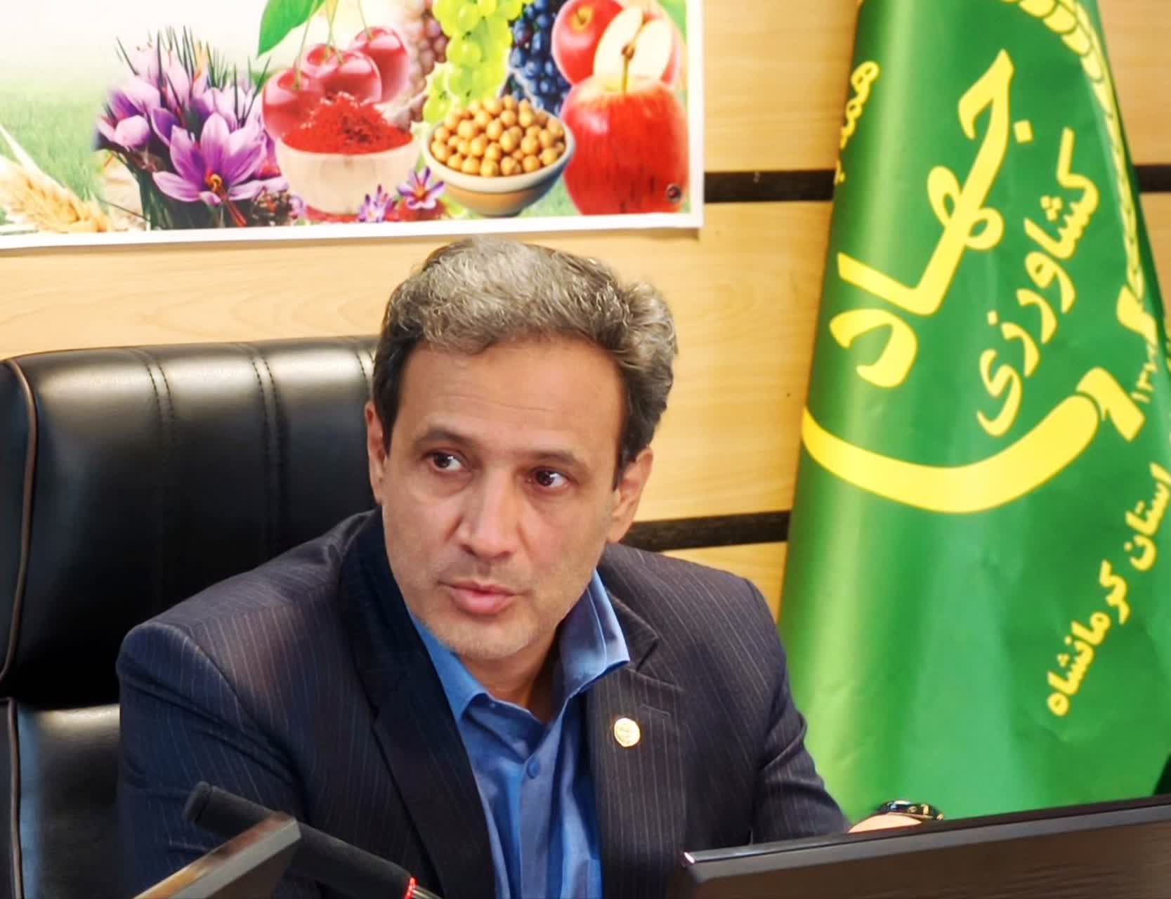 رئیس سازمان جهاد کشاورزی استان کرمانشاه :خرید تضمینی گندم در کرمانشاه از 673 هزار و 686 تن عبور کرد