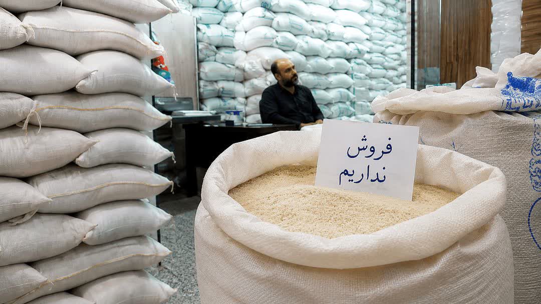 کشاورزان مازنی از فروش برنج دست نگه داشتند