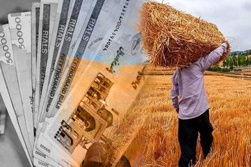 واریز یارانه نقدی کودهای فسفاته و پتاسه به حساب کشاورزان آذربایجان شرقی