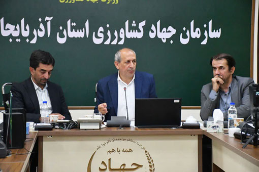 کشاورزی آذربایجانشرقی در مسیر سرمایهگذاری؛ خرید گندم از مرز 330 هزار تن گذشت