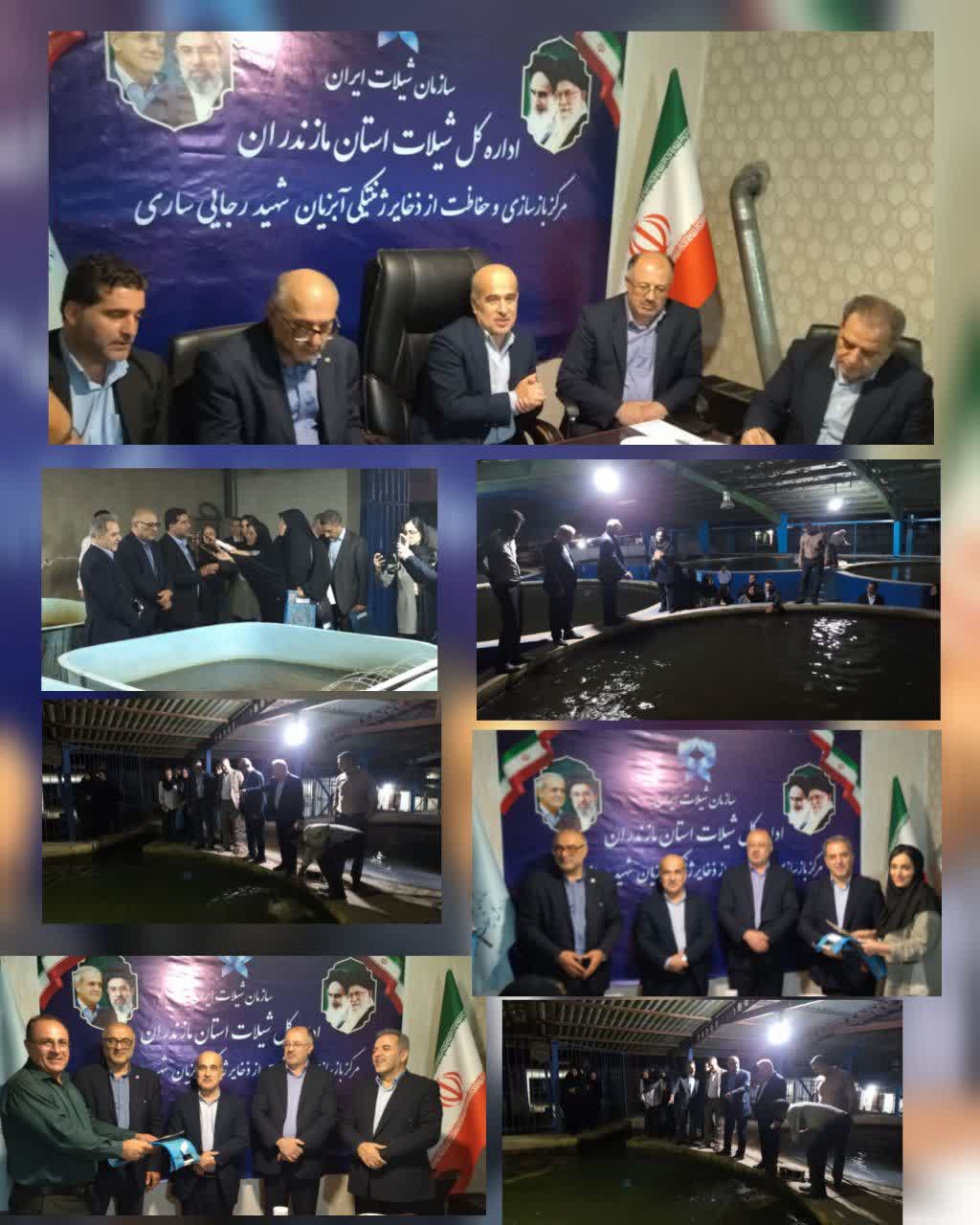 ظرفیت‌های شیلات مازندران در قاب رسانه‌های اعزامی سازمان شیلات ایران