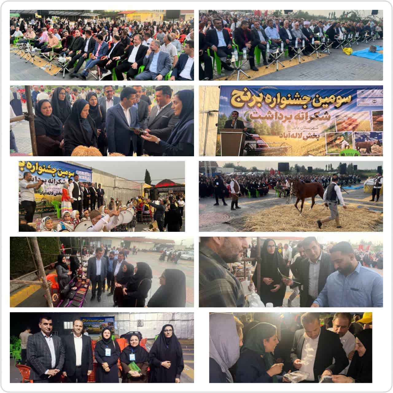 سومین جشنواره برداشت برنج در لاله‌آباد بابل برگزارشد