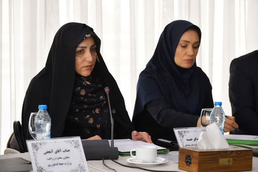 مطالبات گندمکاران تا پایان شهریور پرداخت میشود/ تأکید بر هوشمندسازی کشاورزی
