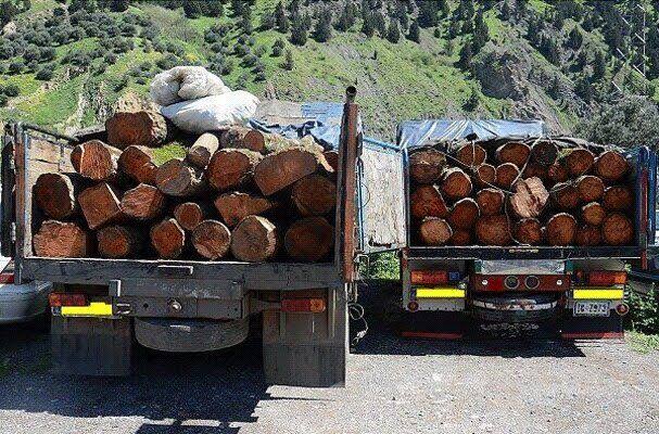 کشف بیش از 3 تن چوب جنگلی قاچاق در نوشهر