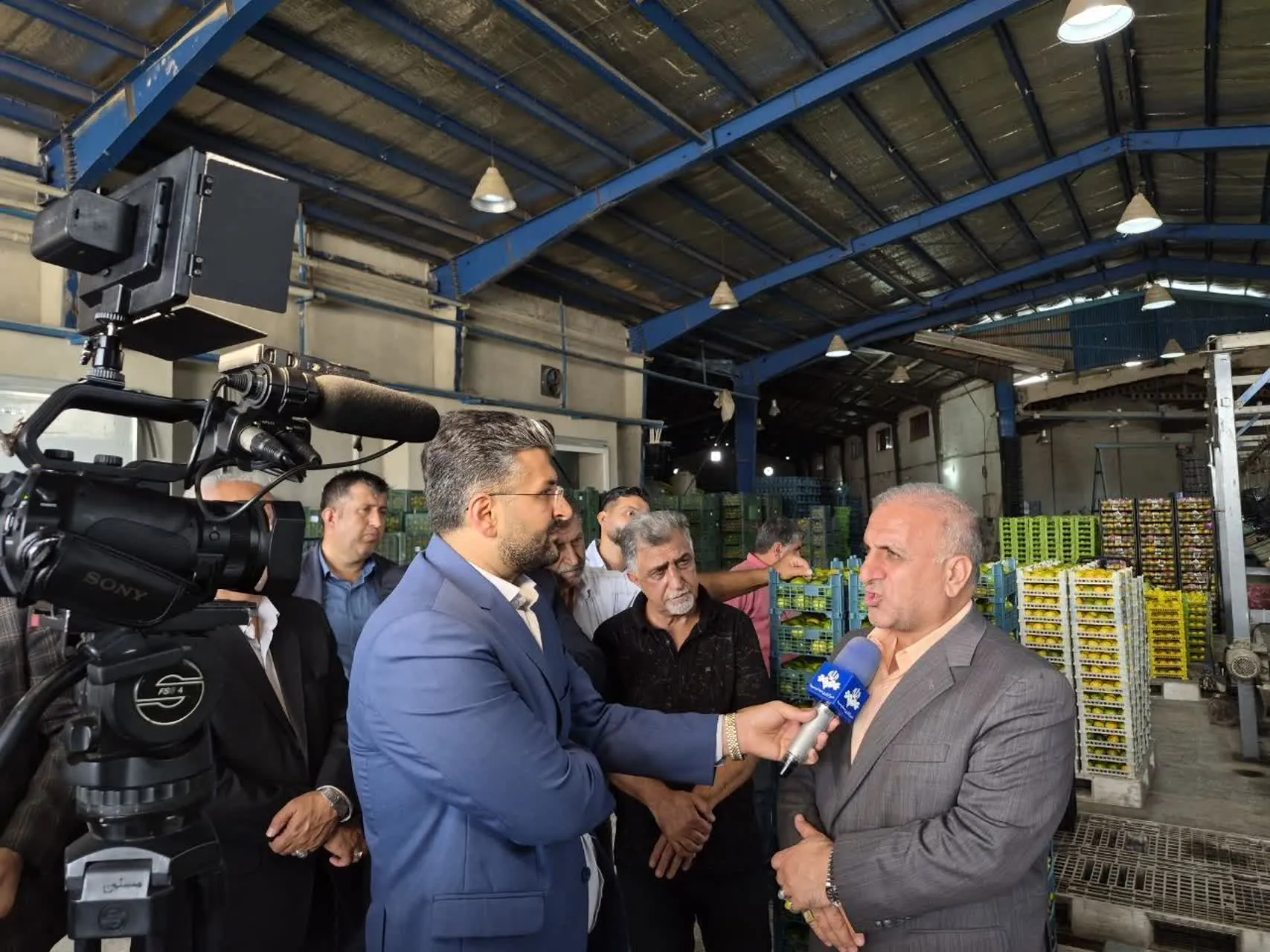 نارنگی ساری باید به یک برند تجاری تبدیل شود