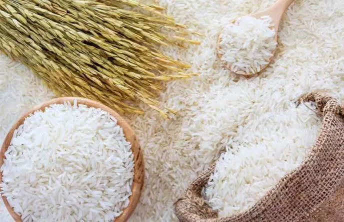 چرا برنج وارد می‌کنیم؟ / راز هدررفت سالانه 240 هزار تن برنج در شالیکوبی‌ها