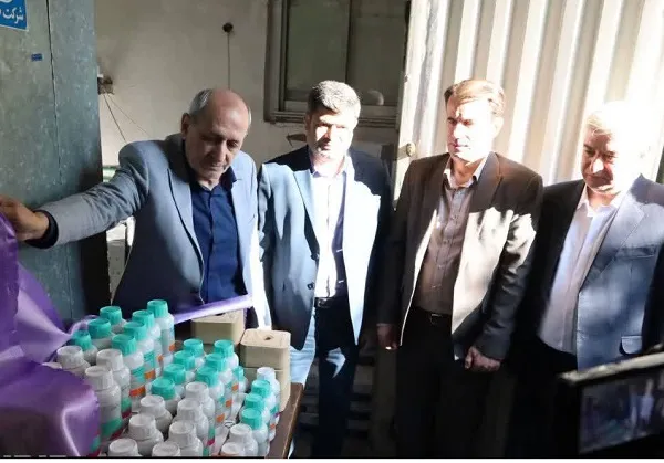 طرح جهش تولید برای 730 هزار رأس دام سبک در آذربایجان شرقی
