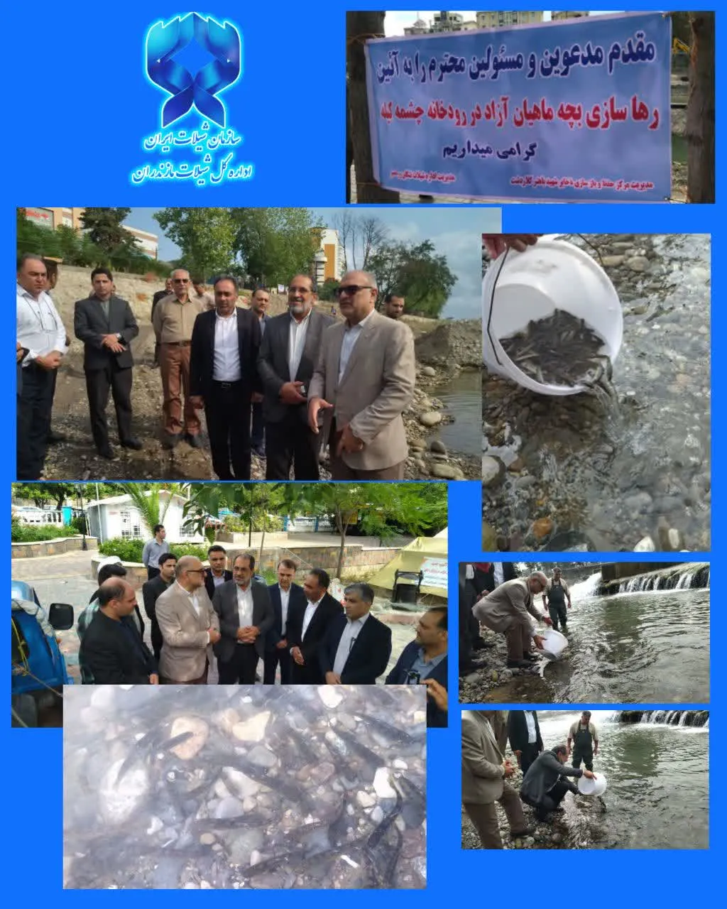 ازکلاردشت تا چشمه‌کیله؛ تداوم نهضت بازسازی ذخایر ماهیان آزاد مازندران گامی برای احیای ذخایر ارزشمند خزر