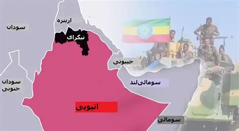 حملات هوایی و گلوله‌باران شبانه تیگرای را هدف قرار داد