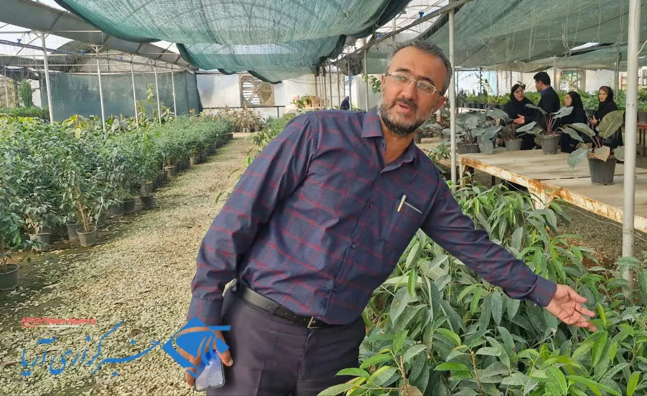 شهرک گلخانه‌ای دانشگاه آزاد گرگان از آموزش مهارتی تا بازاریابی تضمینی